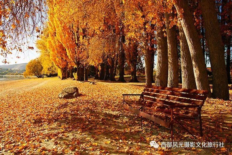 专注交流解答,想买根鱼竿送给男朋友做生日礼物,选择什么价位品牌鱼竿比较好?是你的58问答选择