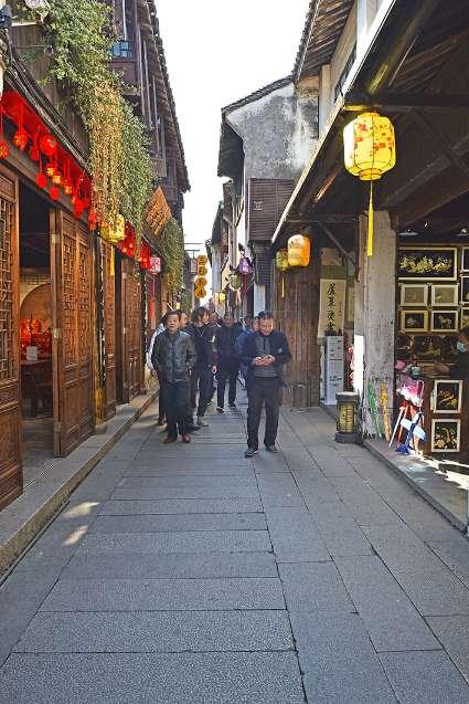 动物帮帮忙保卫家园